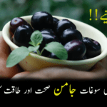 feature image of jamun