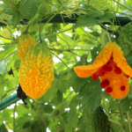 d8001aaf-60da-480e-9411-5049029b4699